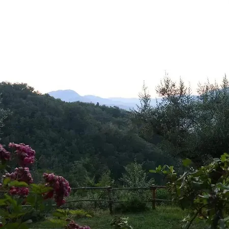 Colle Tocci